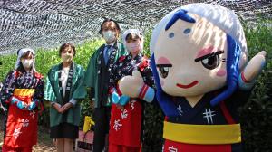 市民茶摘みのつどい