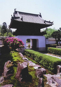 琴坂(興聖寺)の画像1