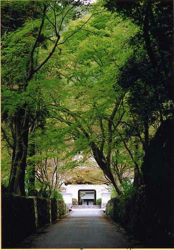 琴坂(興聖寺)の画像2