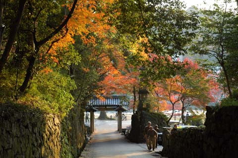 琴坂(興聖寺)の画像3