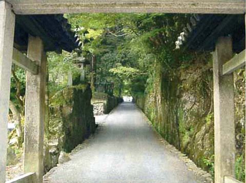 琴坂(興聖寺)の画像4