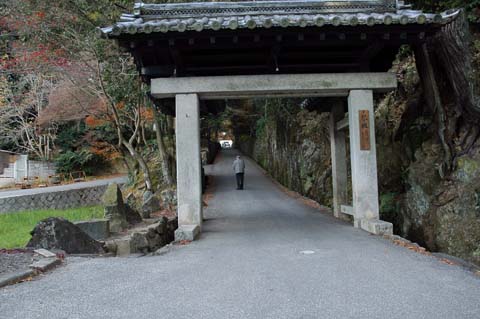 琴坂(興聖寺)の画像5