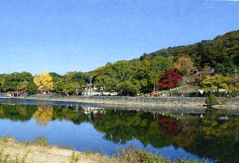 琴坂(興聖寺)の画像6