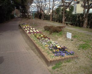 木幡緑道(こはたりょくどう)の画像