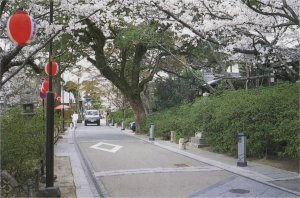 あさぎり緑地(あさぎりりょくち)の画像