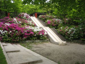 莵道公園(とどうこうえん)の画像