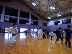 多世代少林寺拳法