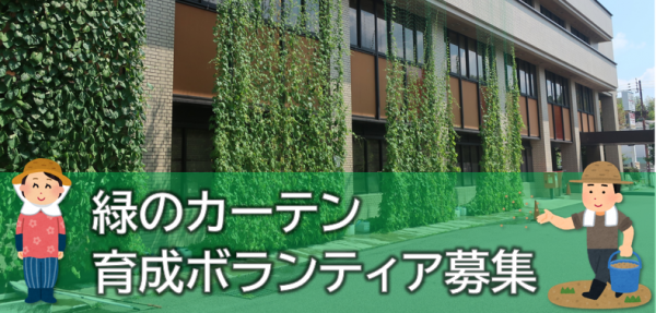 緑のカーテン育成ボランティア募集
