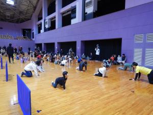 動きを整える体操