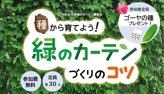 緑のカーテンチラシ