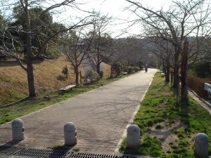 東山公園(ひがしやまこうえん)の画像