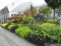 西宇治公園(にしうじこうえん)の画像