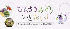 食のいろどりキャンペーン ビジュアル